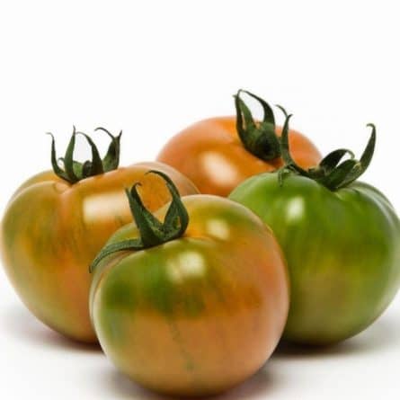 Tomatoes - Camone