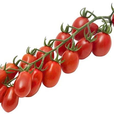 Bunch of Italian Daterrino Fresh Tomatoes from Panzer's
