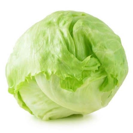 Head of Iceberg Lettuce from Panzer's