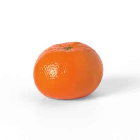 Nadorcotts