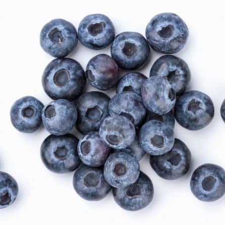 Pack of Fresh Blueberries from Panzer's
