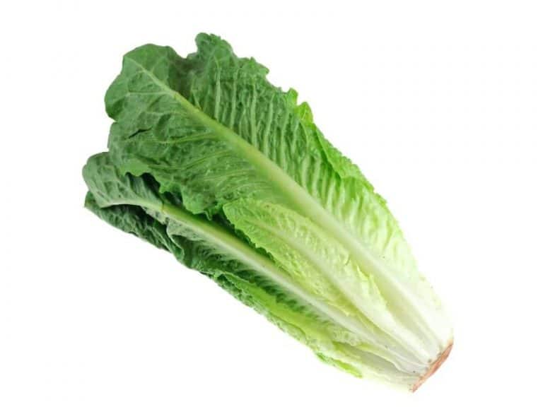 Single Cos Lettuce from Panzer's
