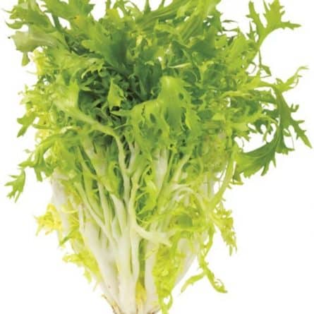 Salad - Italian Frissy