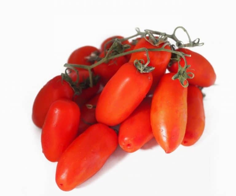 Bunch of San Marzano Tomatoes from Panzer's
