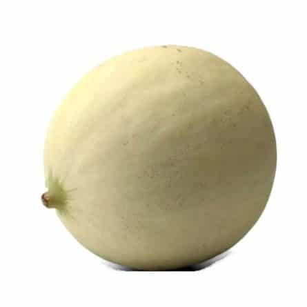 Melon - Canteline