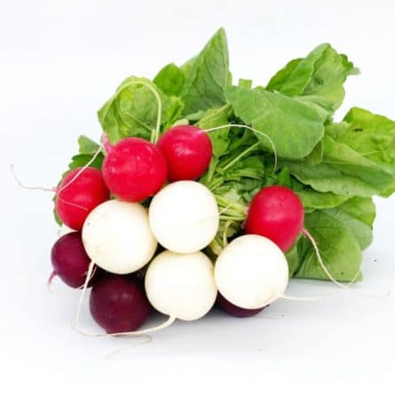 Bunch of Heritage Radishes from Panzer's