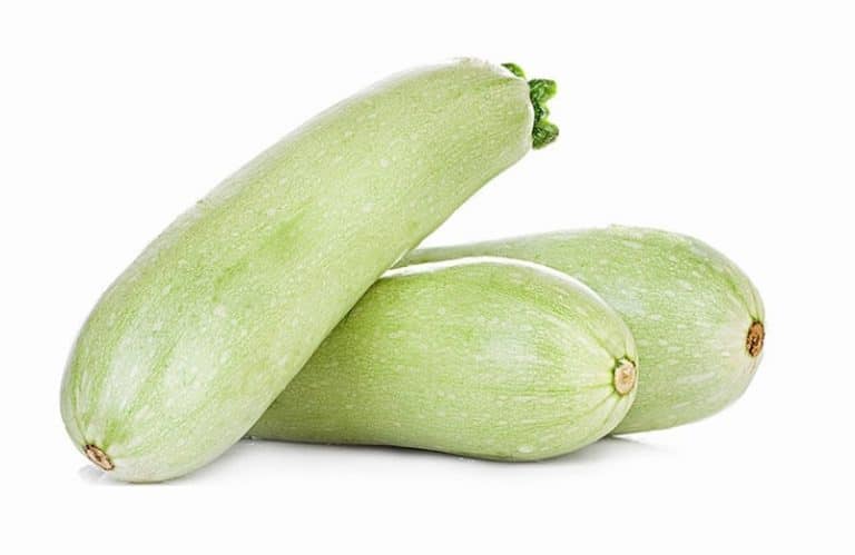 White Courgette from Panzer's on a White Background