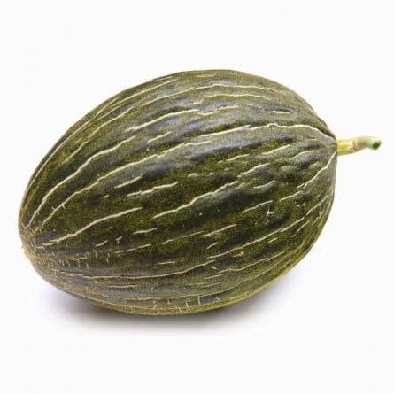 Melon -  Piel de Sapo