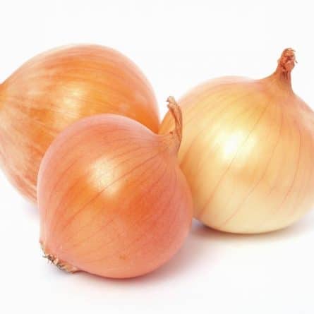 Loose Onions from Panzer's