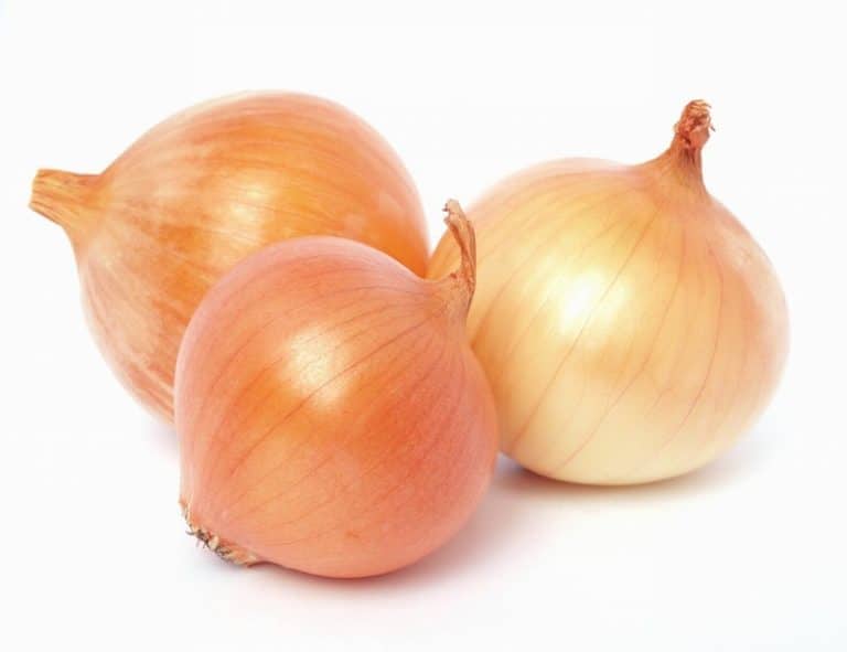 Loose Onions from Panzer's