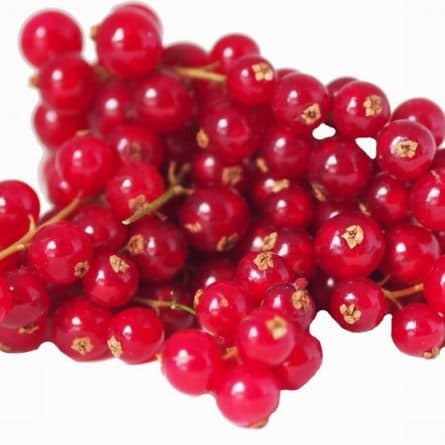 Punnet of Seasonal Redcurrant from Panzer's