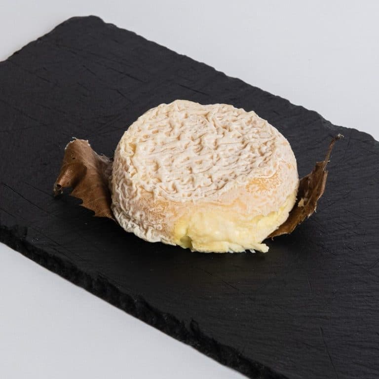 Single Mothais Goat Cheese from Panzer's Round