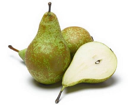 French Conference Pear from Panzer's