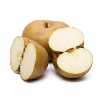 Apple-Russet
