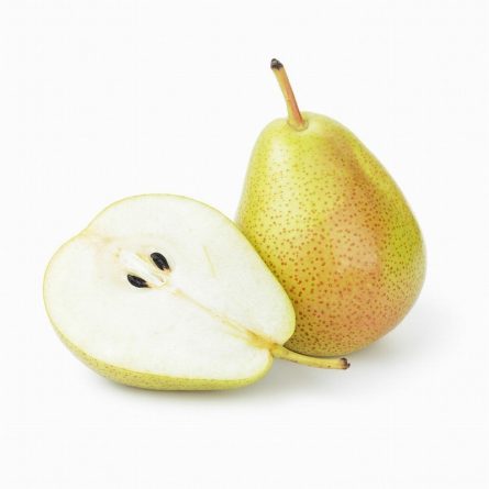 William Pear from Panzer's