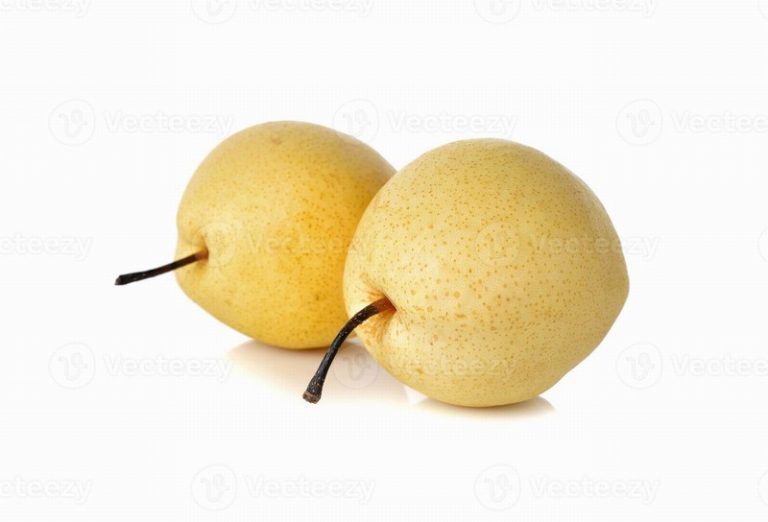 Nashi Pear from Panzer's