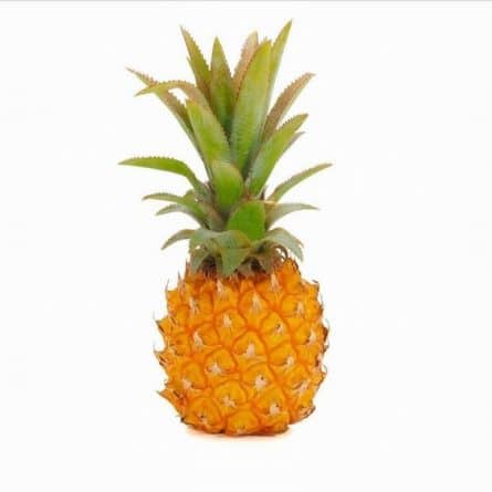 Pineapple - Baby