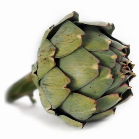 Artichoke Globe
