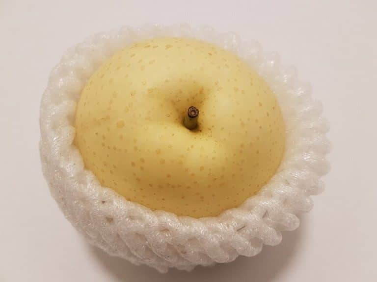 Pear-Asian (Nashi) - Image 2
