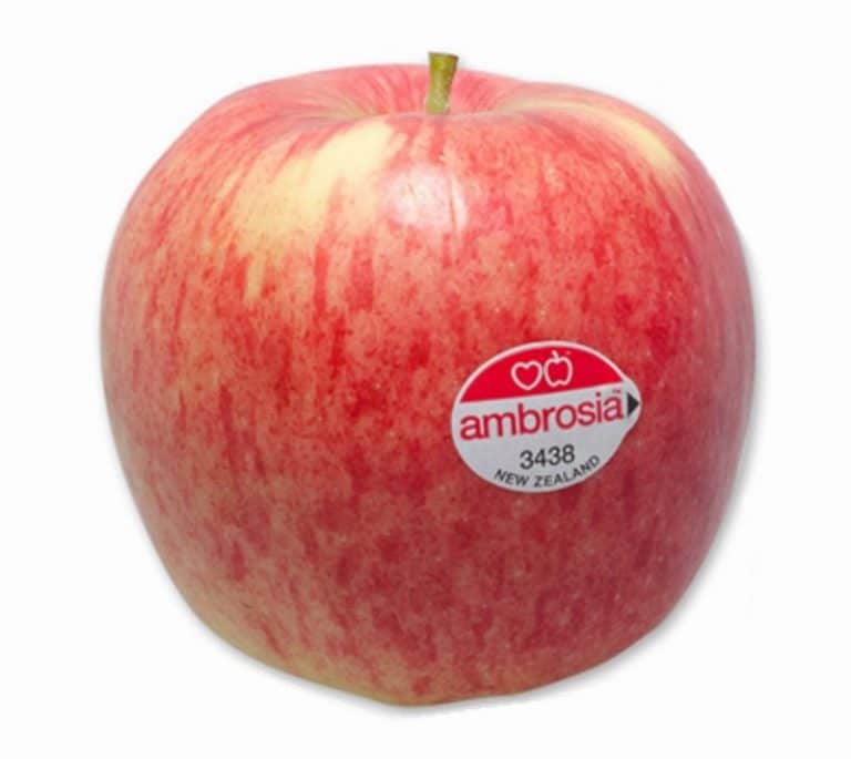 Apple-Ambrosia - Image 2
