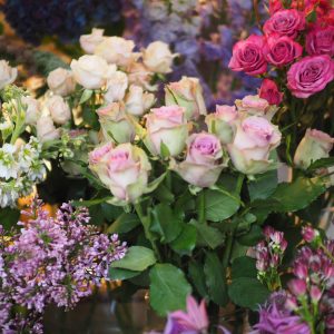 Roses display