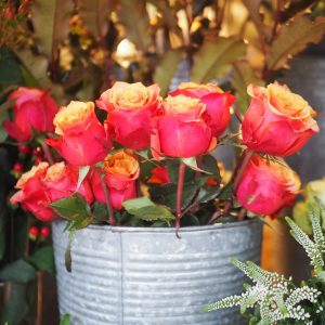 Red roses
