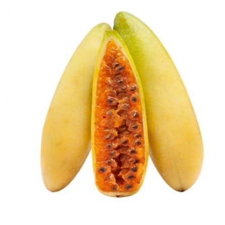 Curuba