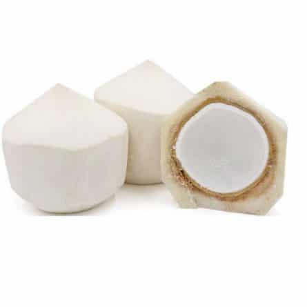 Single Jelly Nut Coconut from Panzer's