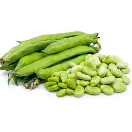 Heap of Broad Beans from Panzer's