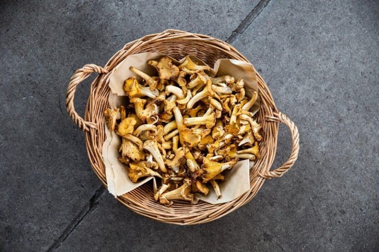 Mushrooms - Chanterelle Fresh - Image 2
