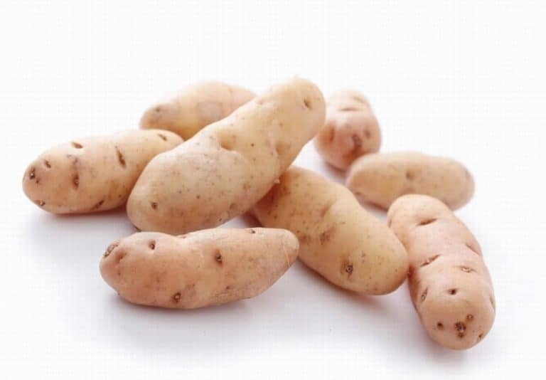 Pink Fir Potatoes from Panzer's