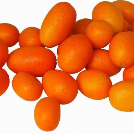 Kumquat