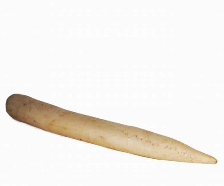 Mooli (Daikon) - Image 2