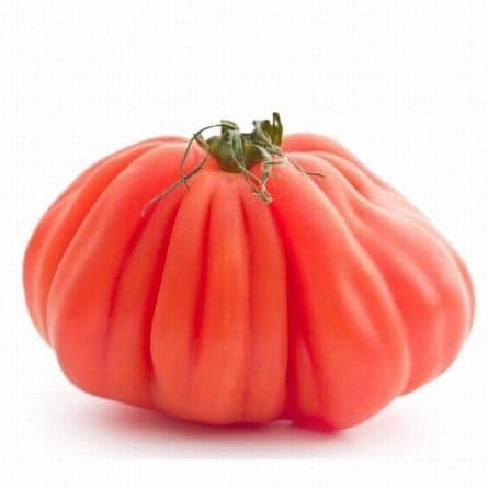 Single Cour de Boeuf Tomato from Panzer's