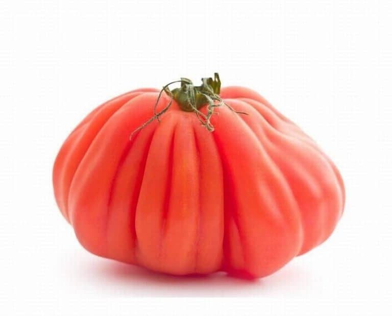 Single Cour de Boeuf Tomato from Panzer's