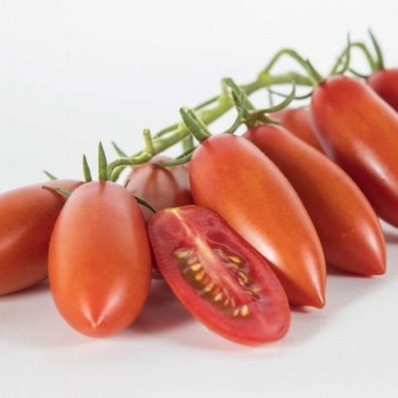 Torpedino Tomatoes from Panzer's