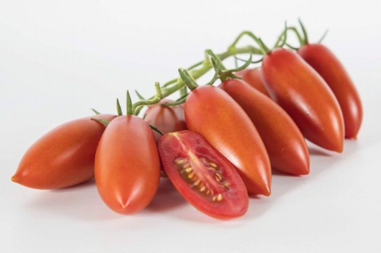 Torpedino Tomatoes from Panzer's