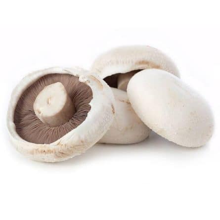 White Flat Mushrooms from Panzer's