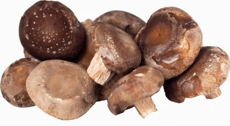 Loose Fresh Shiitake Mushrooms from Panzer's