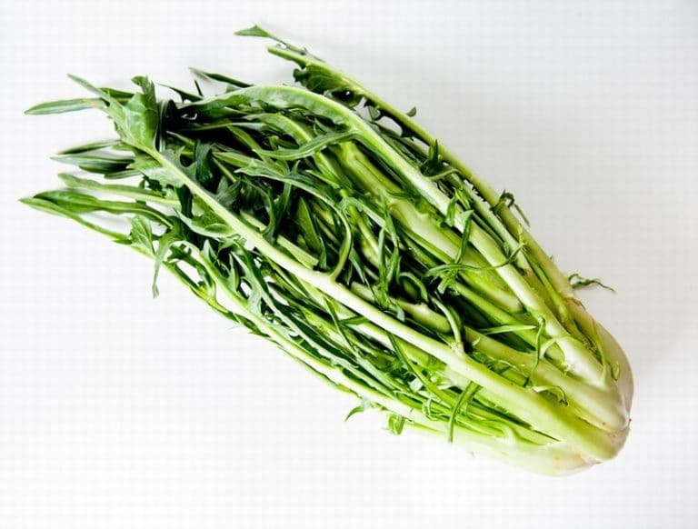 Puntarelle Salad - Image 2