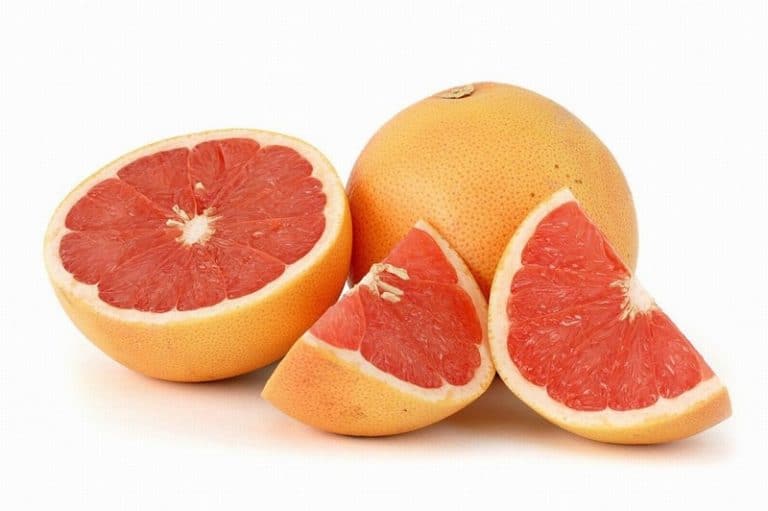 Single Florida Grapefruit from Panzer's