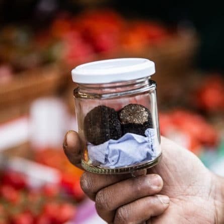 Loose Black Truffle from Panzer's