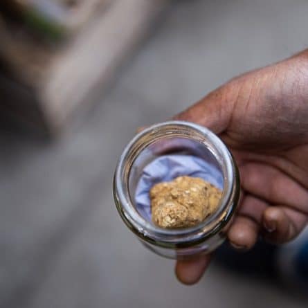 Fresh White Truffle in a Jar from Panzer