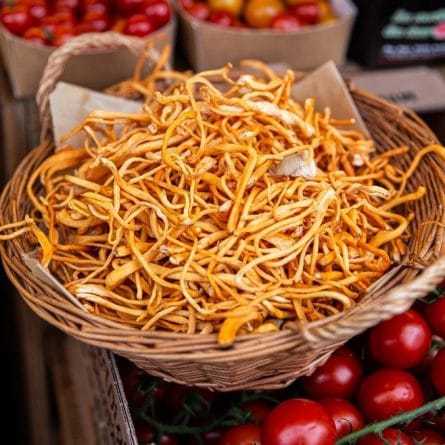 Fresh Cordyceps Mushrooms on a tray from Panzer's Delicatessen