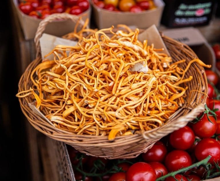 Fresh Cordyceps Mushrooms on a tray from Panzer's Delicatessen