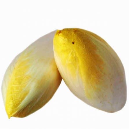 Chicory (Endive)