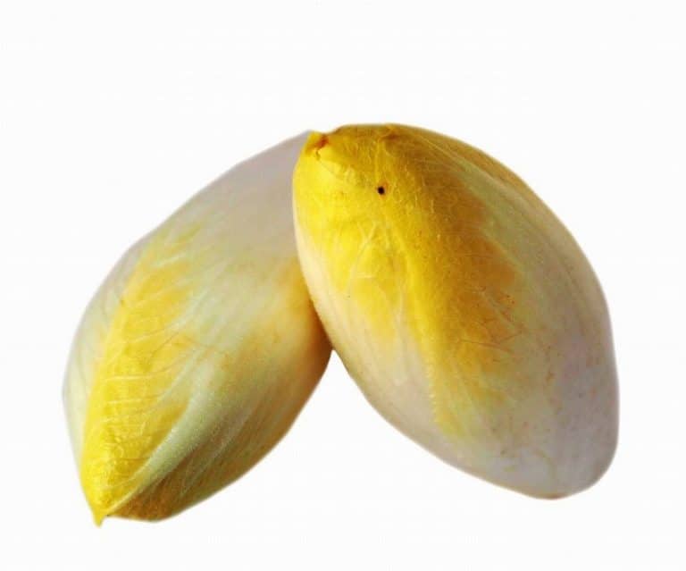 Chicory (Endive)