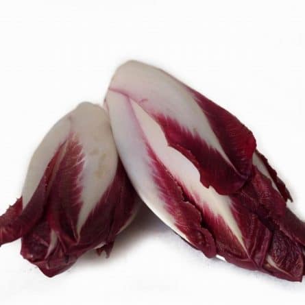 Red Chicory (Endive)