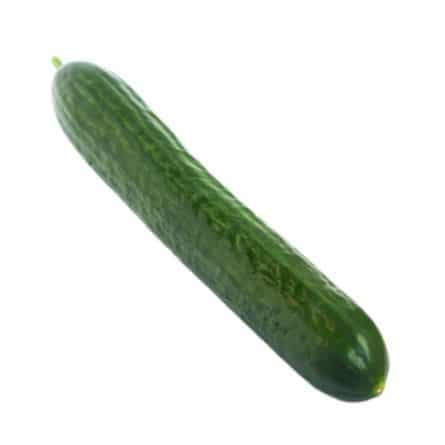 Organic Cucumber