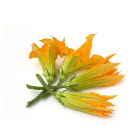 Courgette Flowers from Panzer's